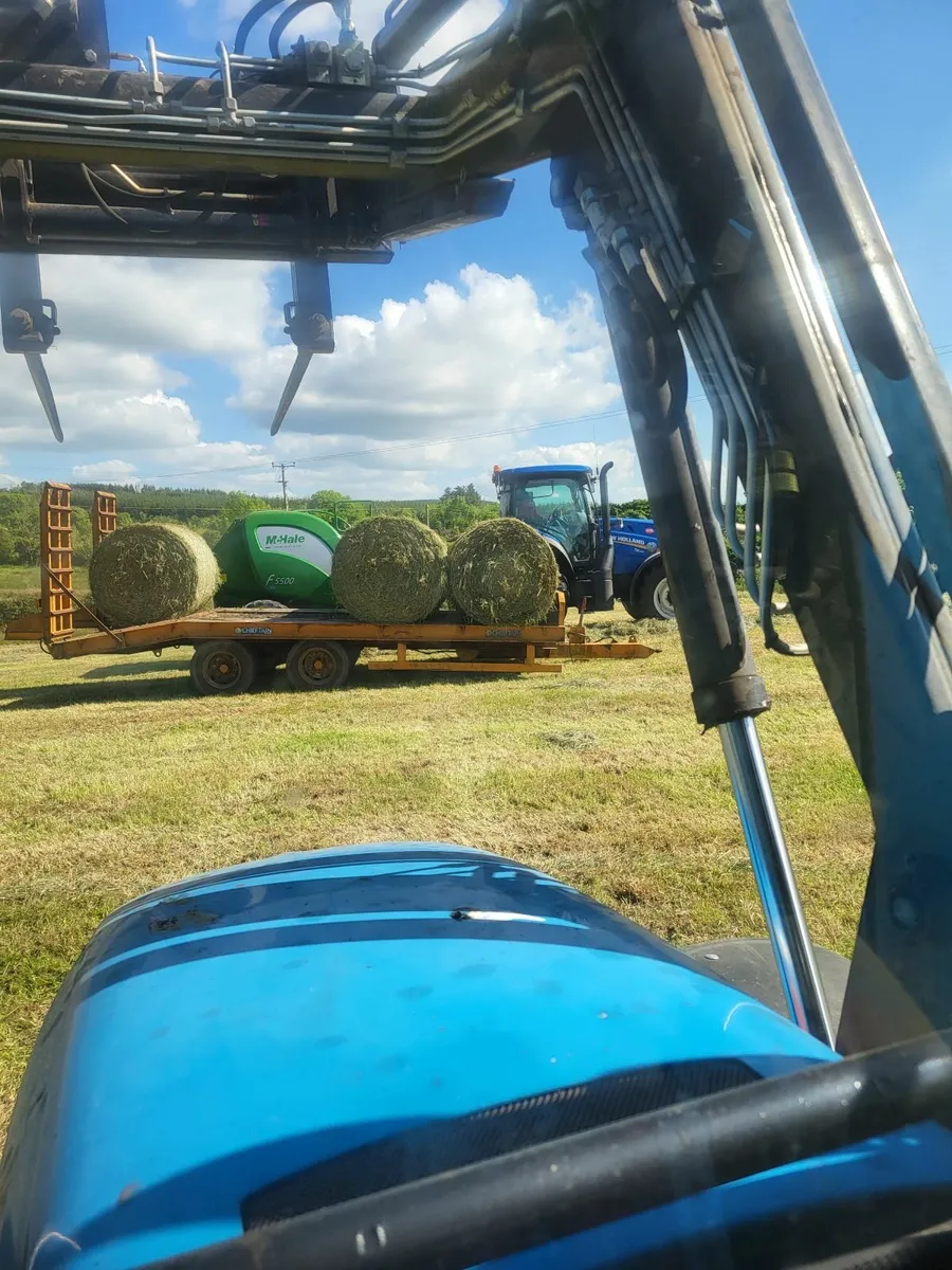 Hay - Image 1