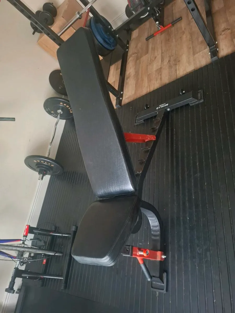 Squat rack and bench - Image 2