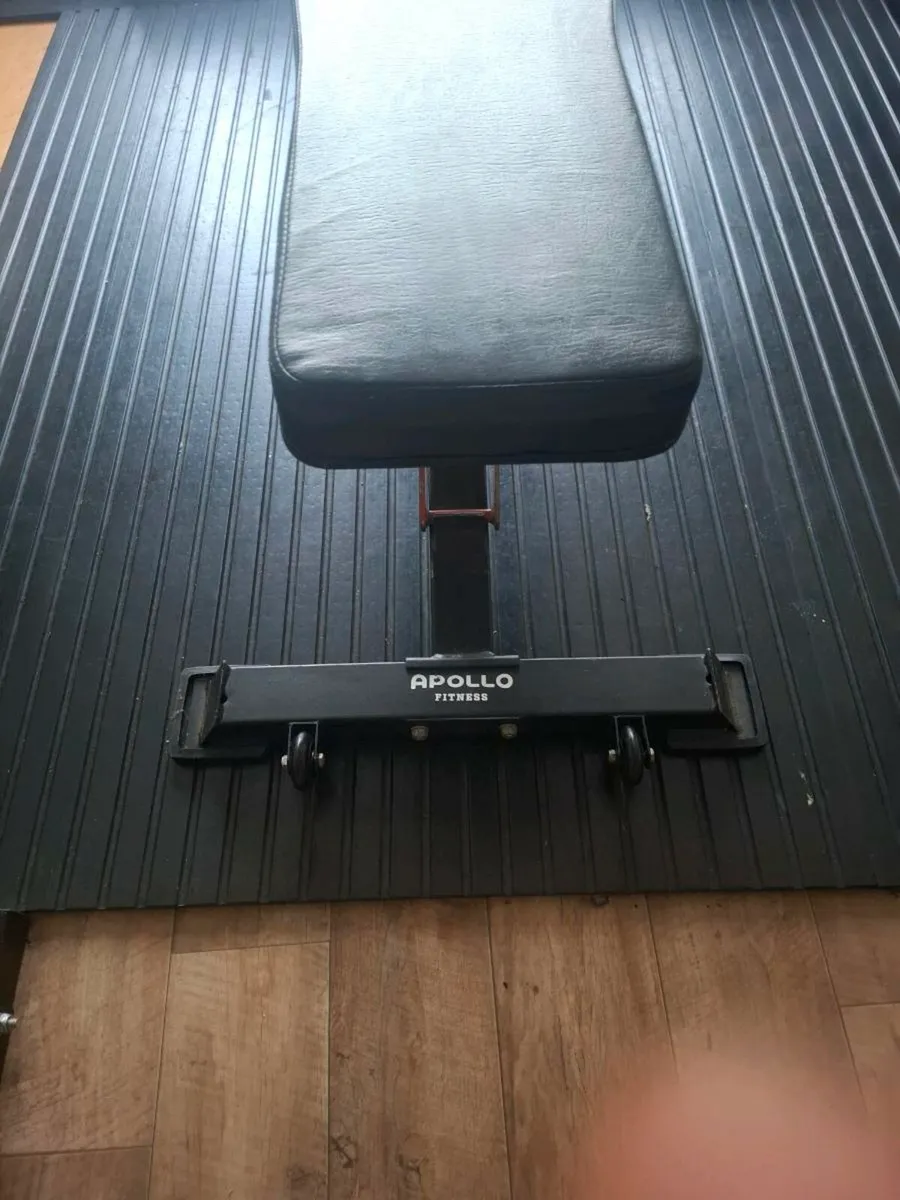 Full gym set up - Image 4