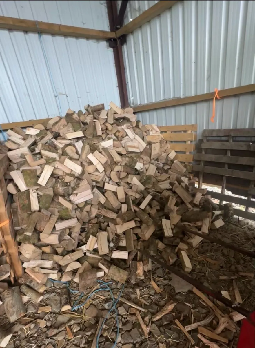 Firewood Hardwood - Image 3