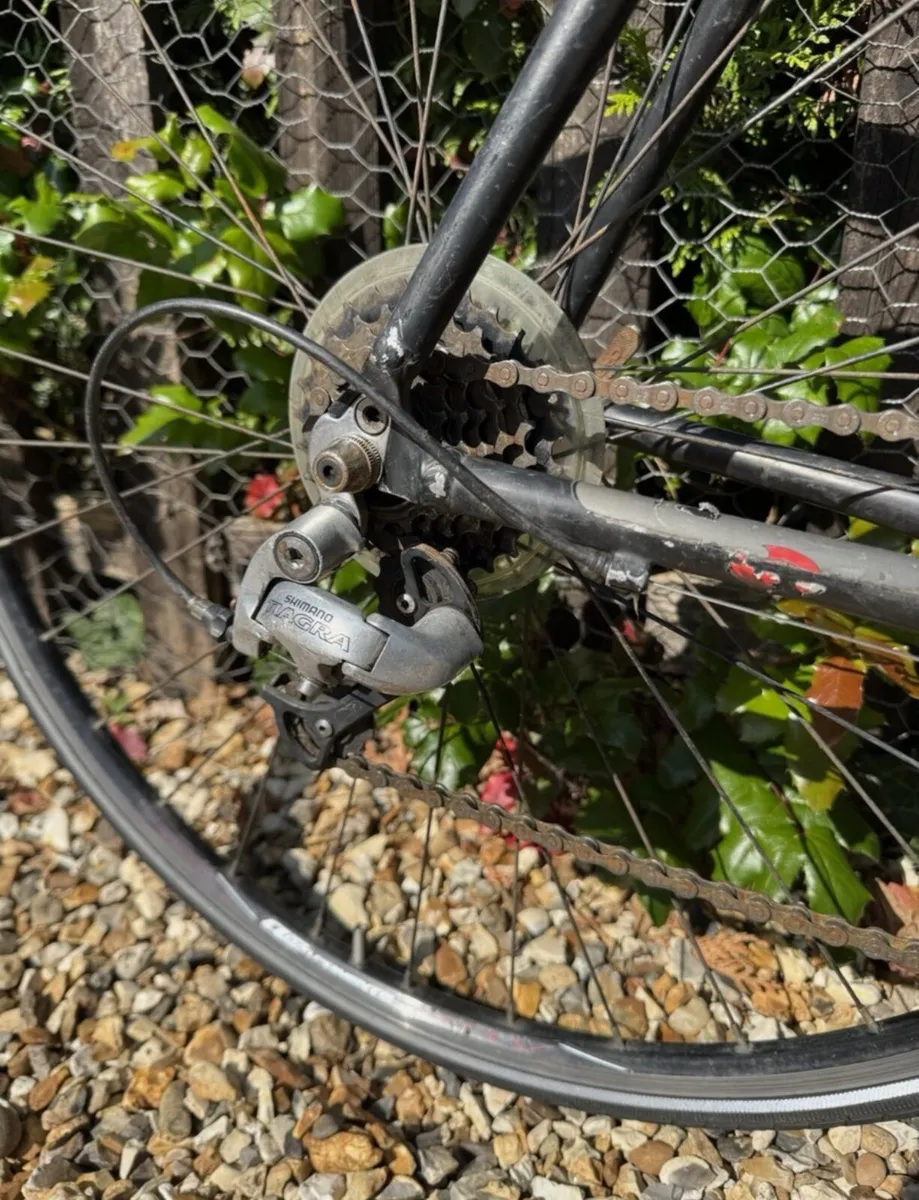Ridgeback Element Equipped - Image 2