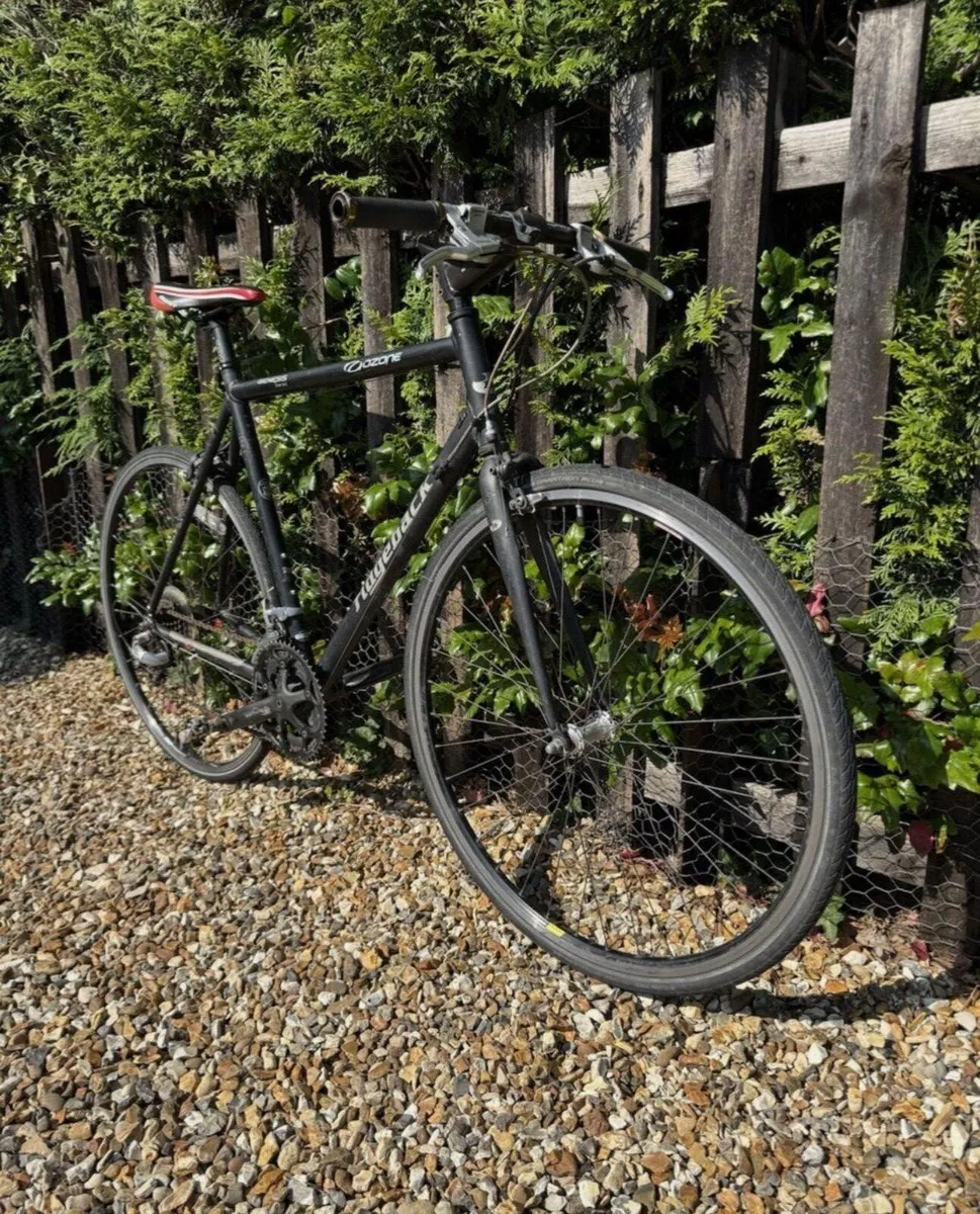 Ridgeback Element Equipped - Image 1