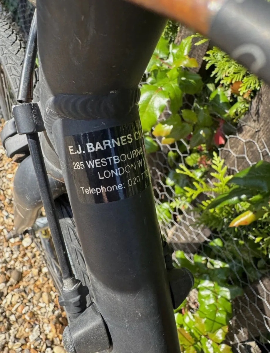 Ridgeback Element Equipped - Image 3
