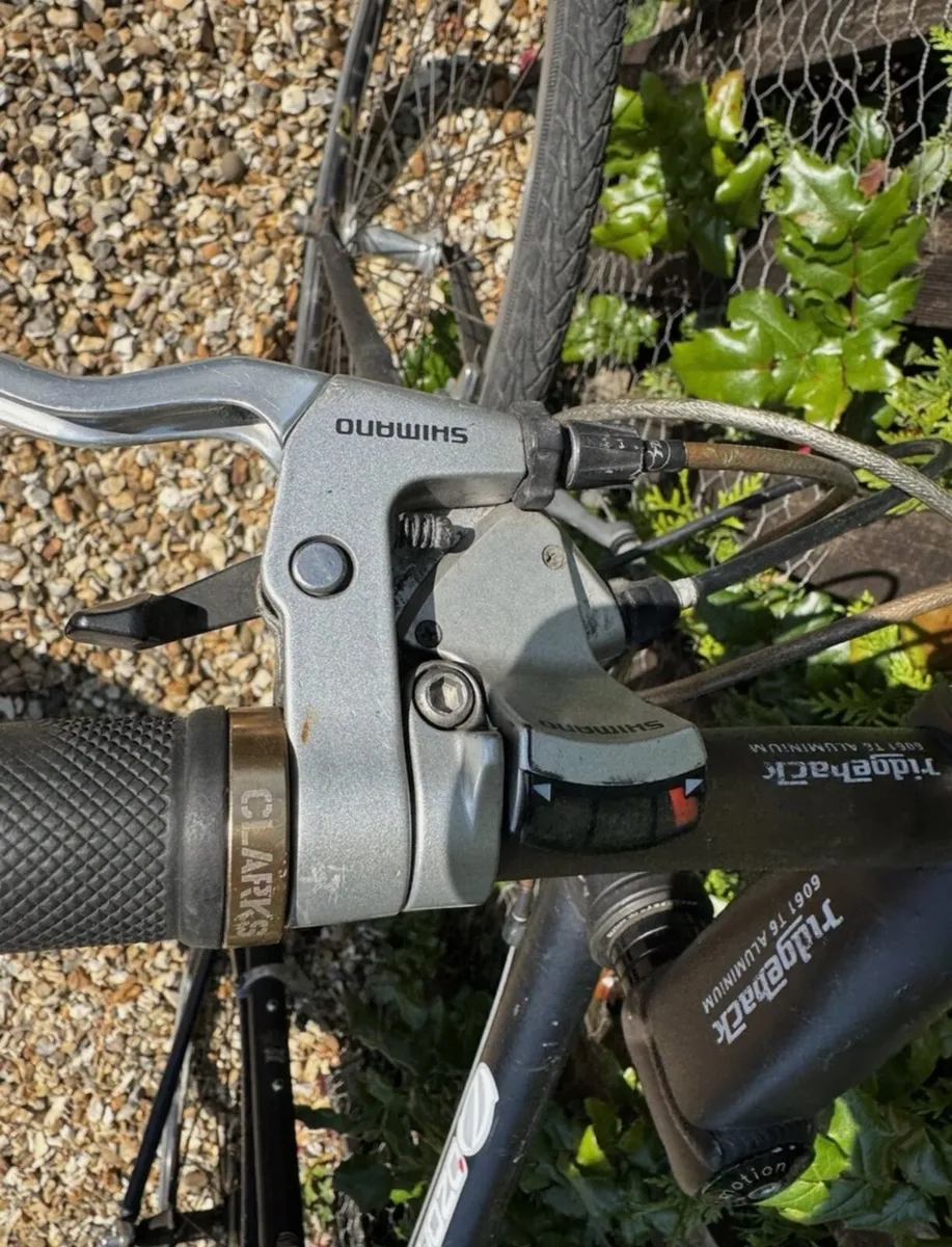 Ridgeback Element Equipped - Image 4