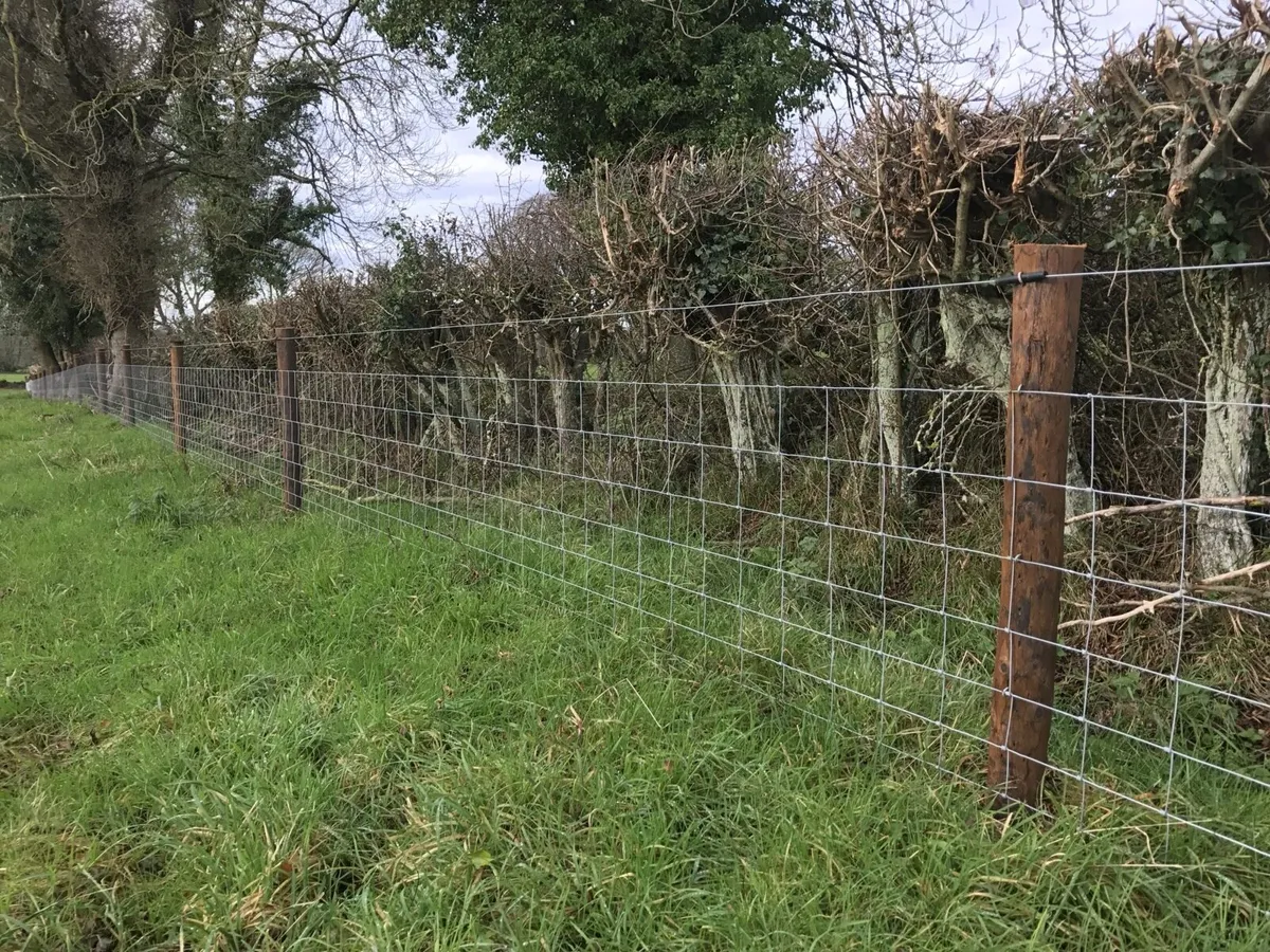 Fencing contractor - Image 1
