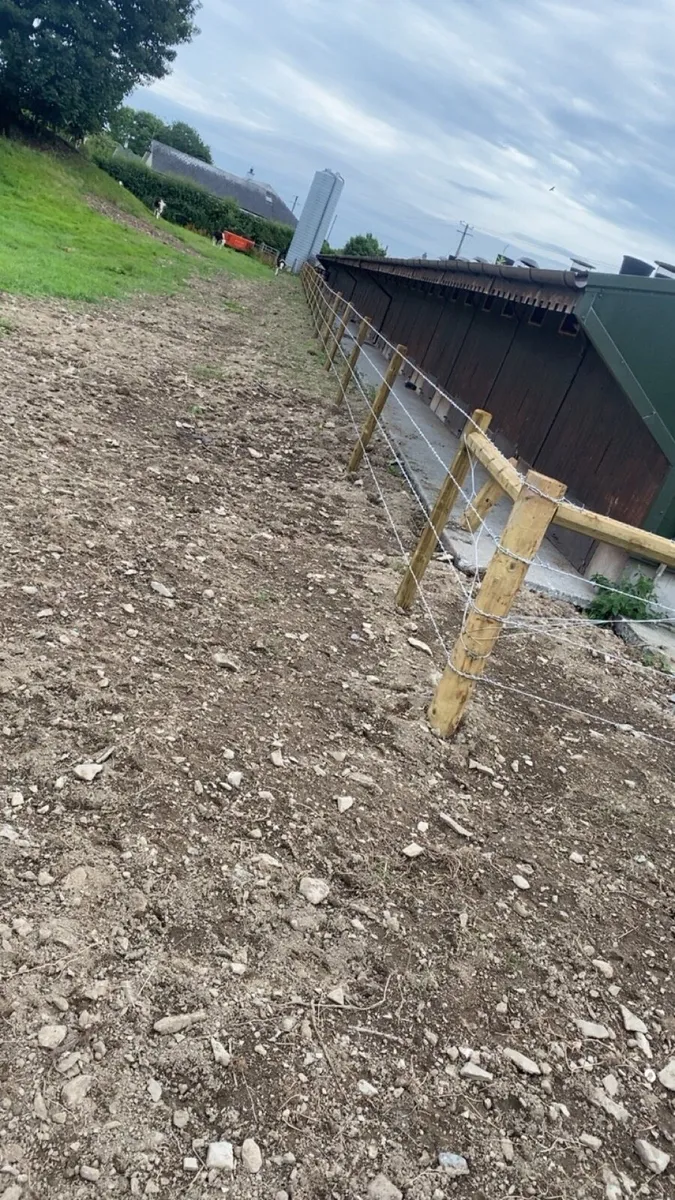 Fencing contractor - Image 4