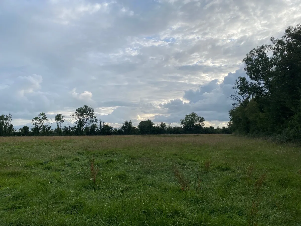 6 Acres Meadowing - Image 2