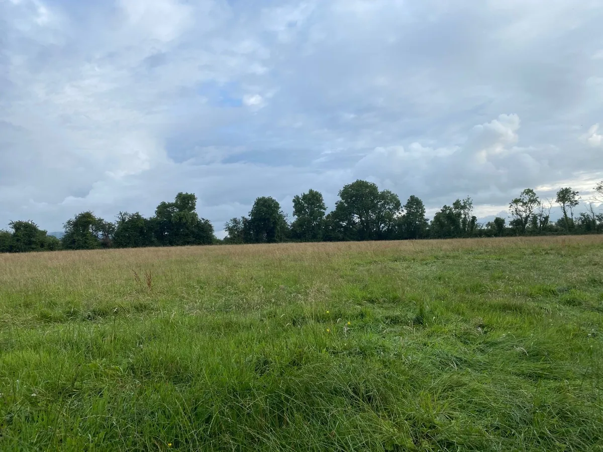 6 Acres Meadowing - Image 1
