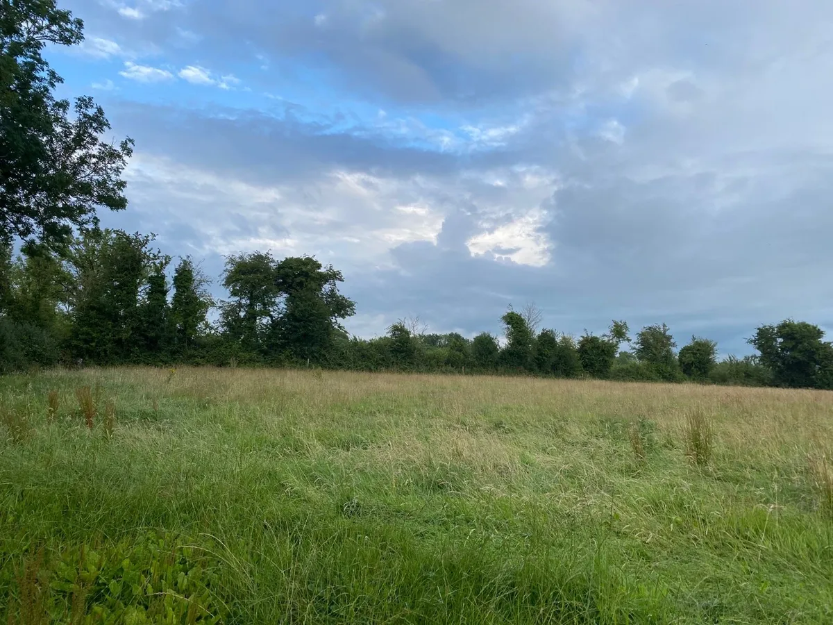6 Acres Meadowing - Image 4