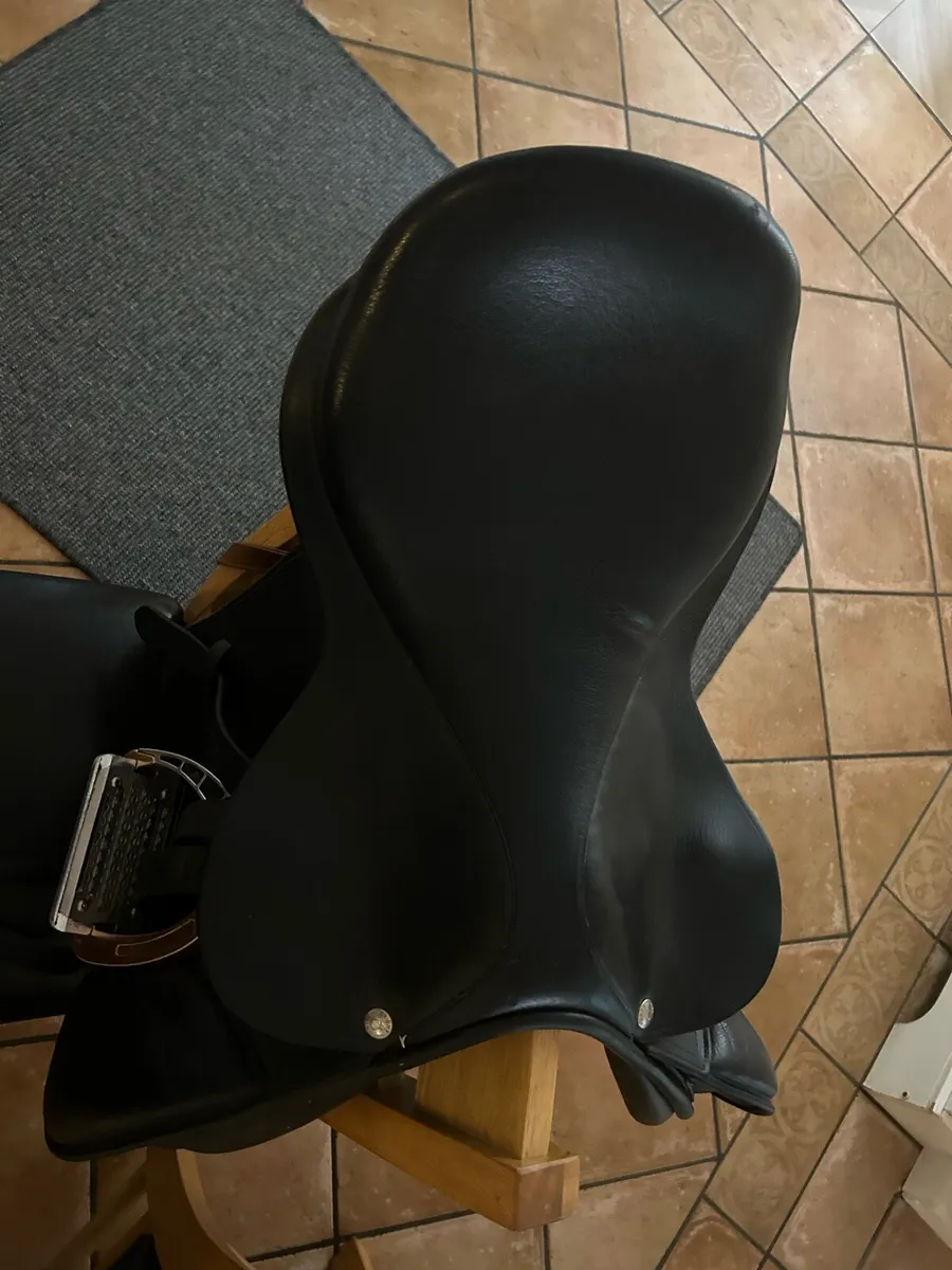 Jumping Saddle - Image 2