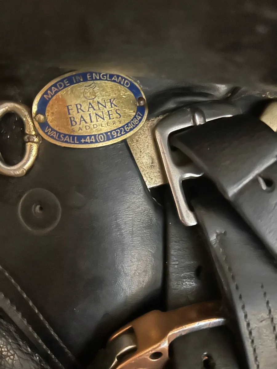 Jumping Saddle - Image 3