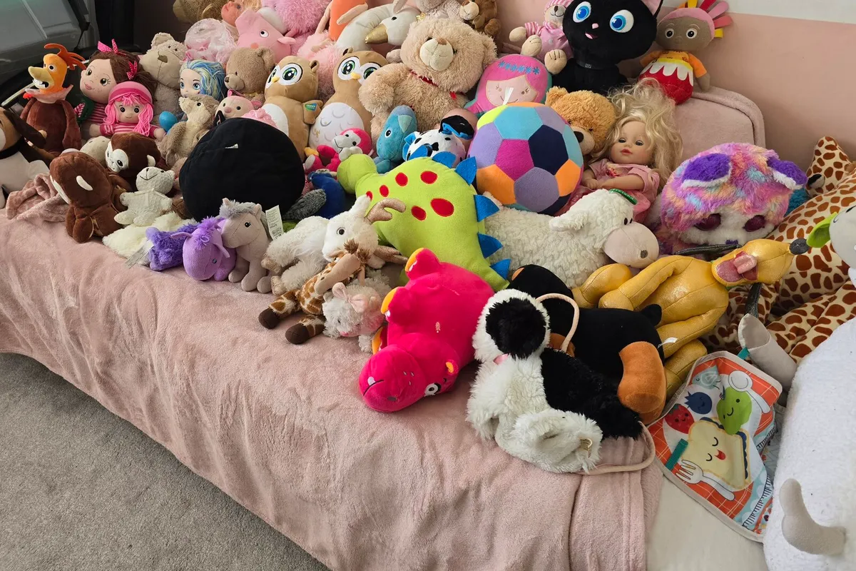 Huge Bundle of Teddies - Large Variety - All Mint