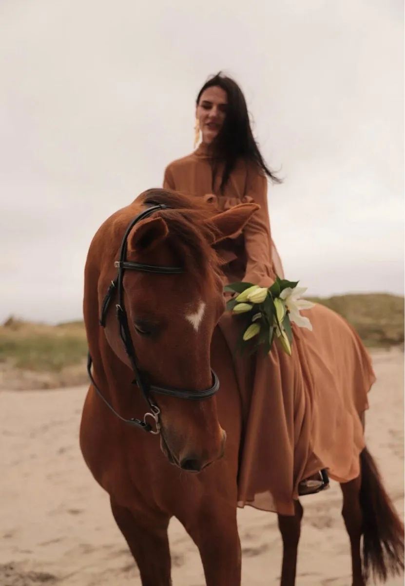 Lovely kind mare - Image 2