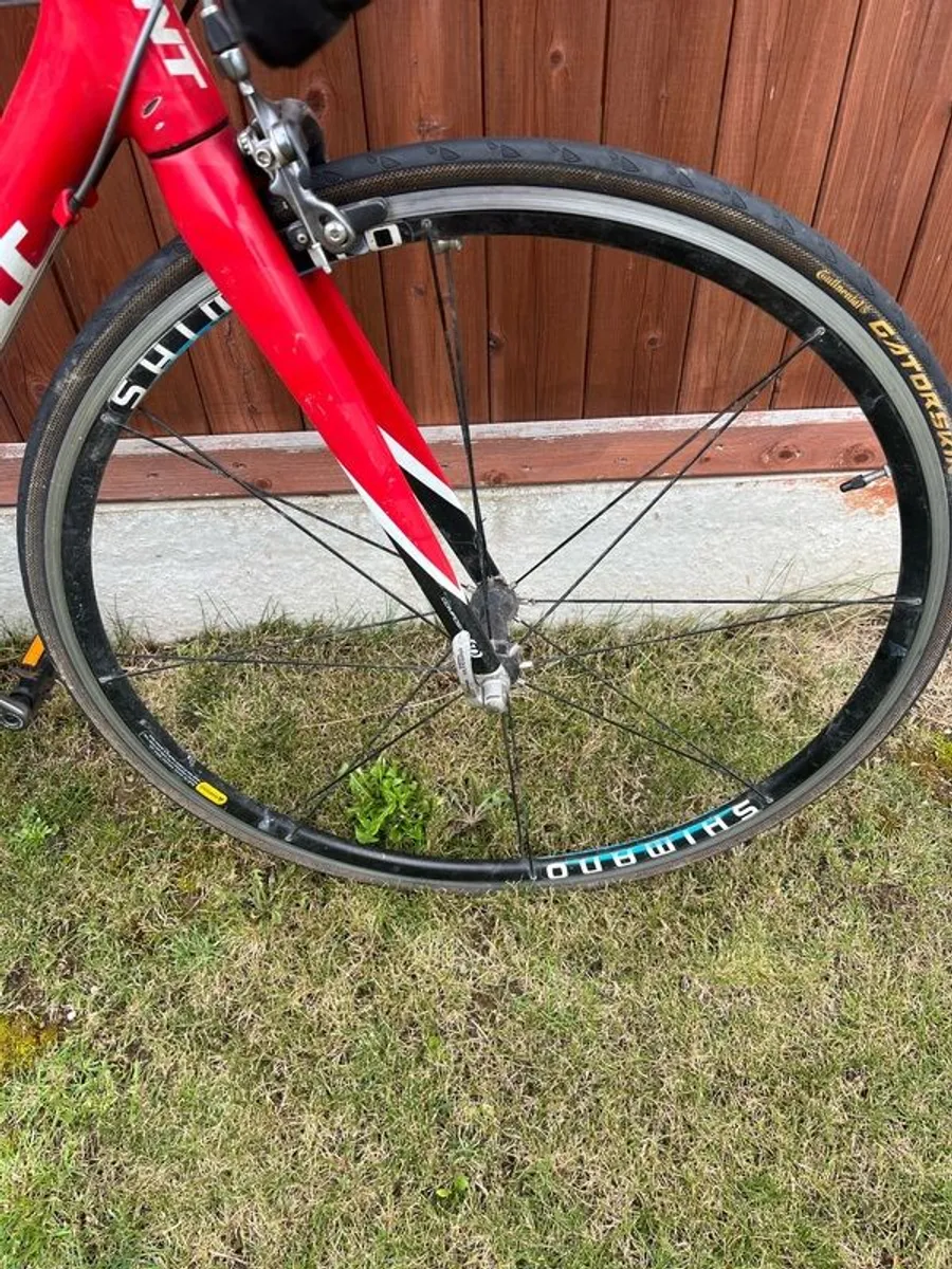 Carbon Fibre road bike - Image 2