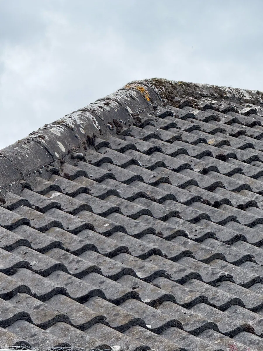 Roof tiles - Image 1