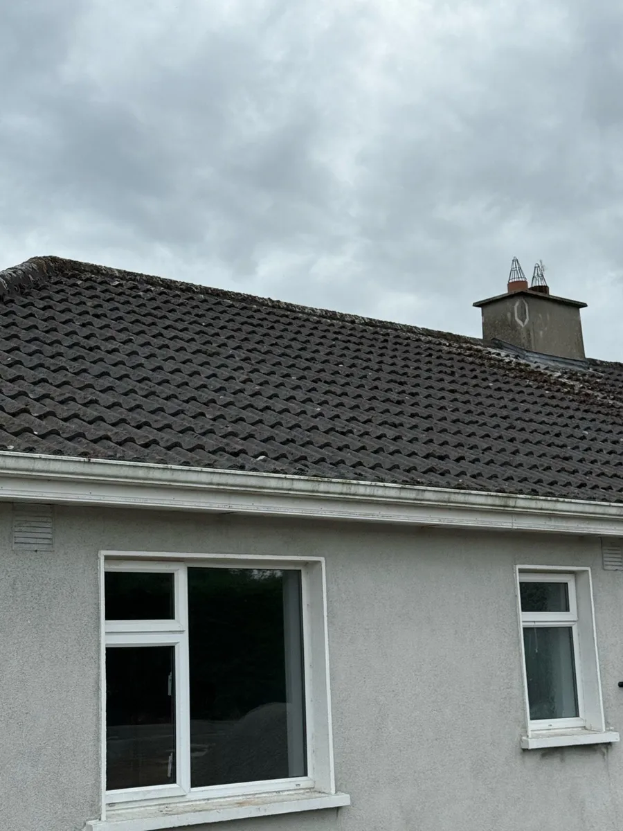 Roof tiles - Image 2