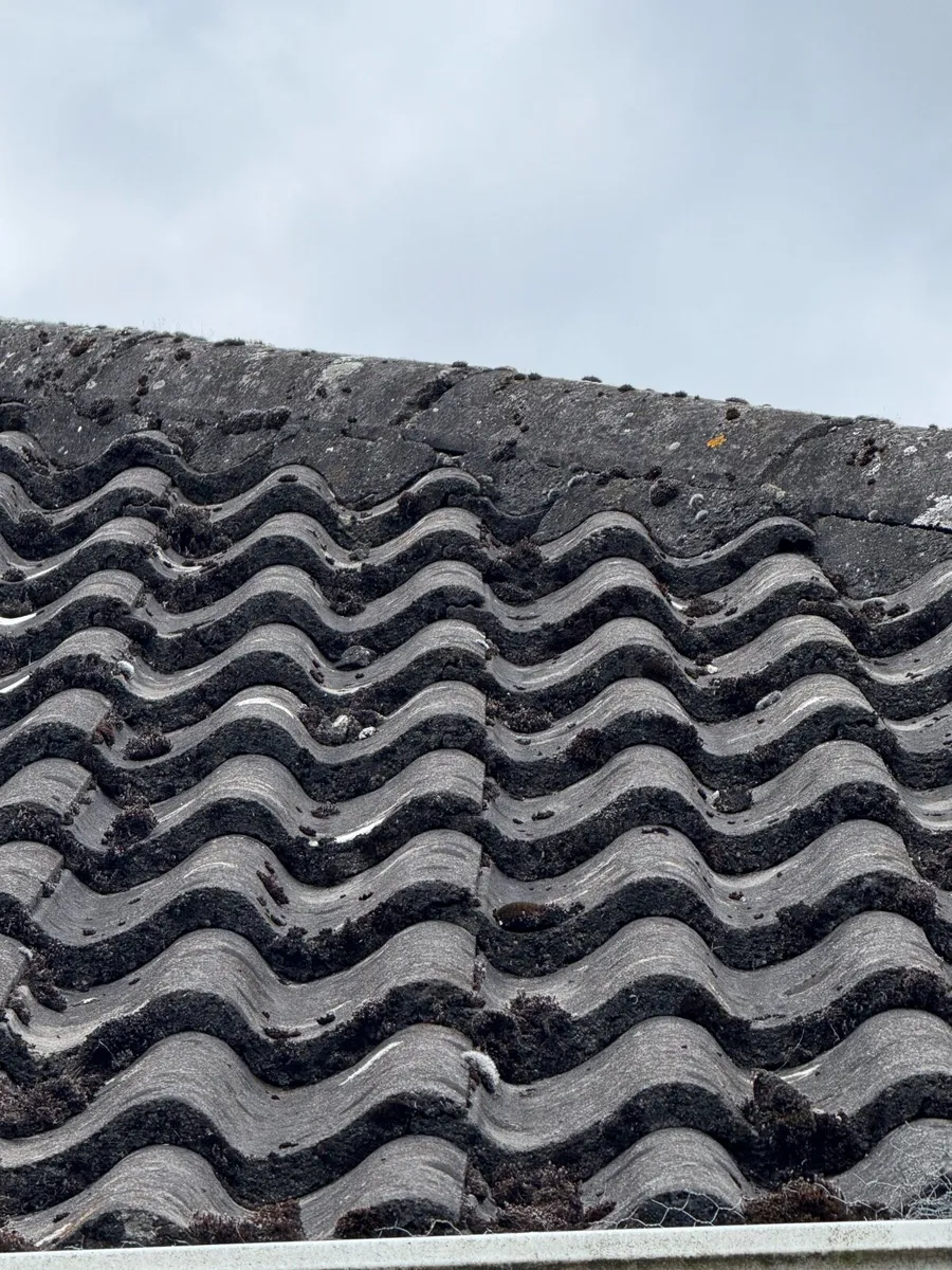 Roof tiles - Image 3