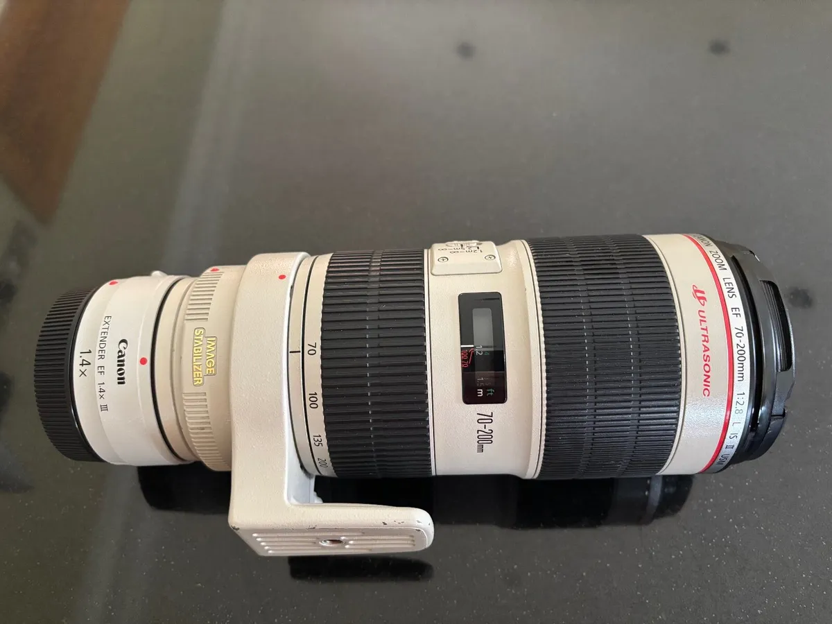 Camon 5d Mark IV plus Canon EF 70-200 F2.8L II USM - Image 2