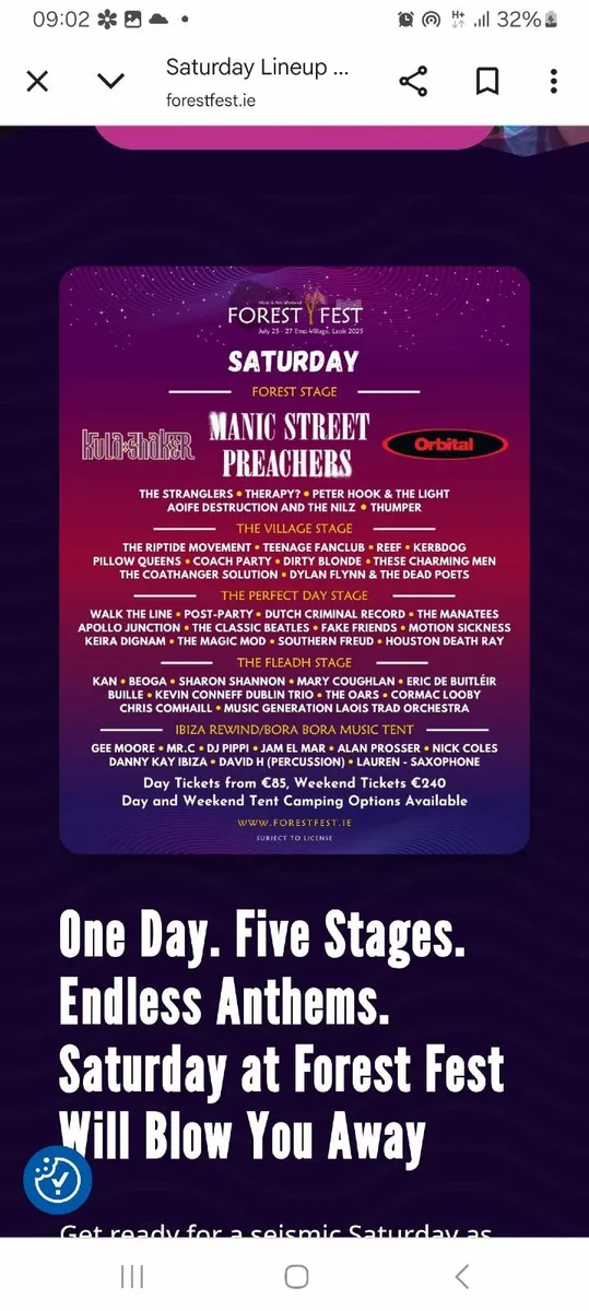 Forestfest Sunday ticket