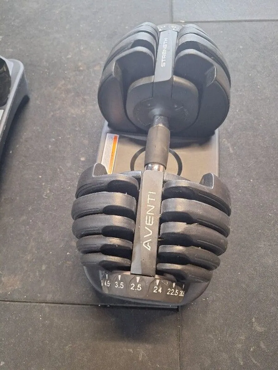 adjustable dumbells x2 - Image 1