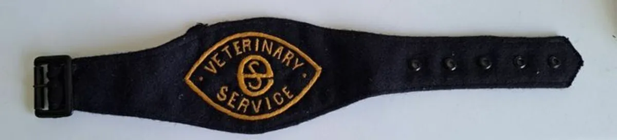 Irish Free State Arm Band