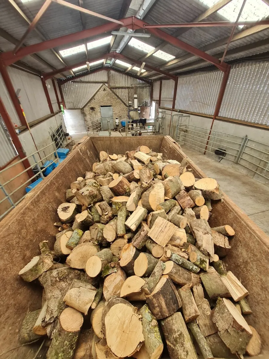 Firewood - Image 2
