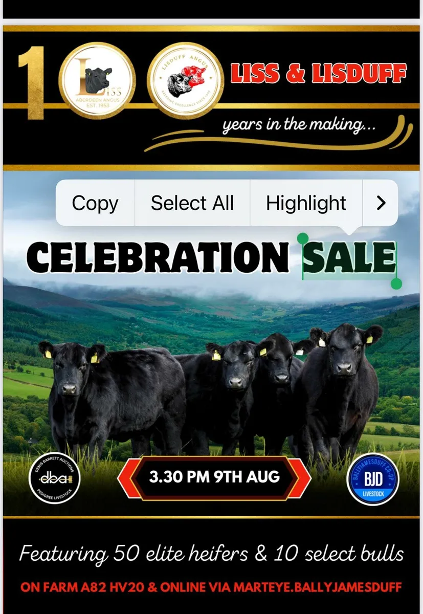 Pedigree Angus