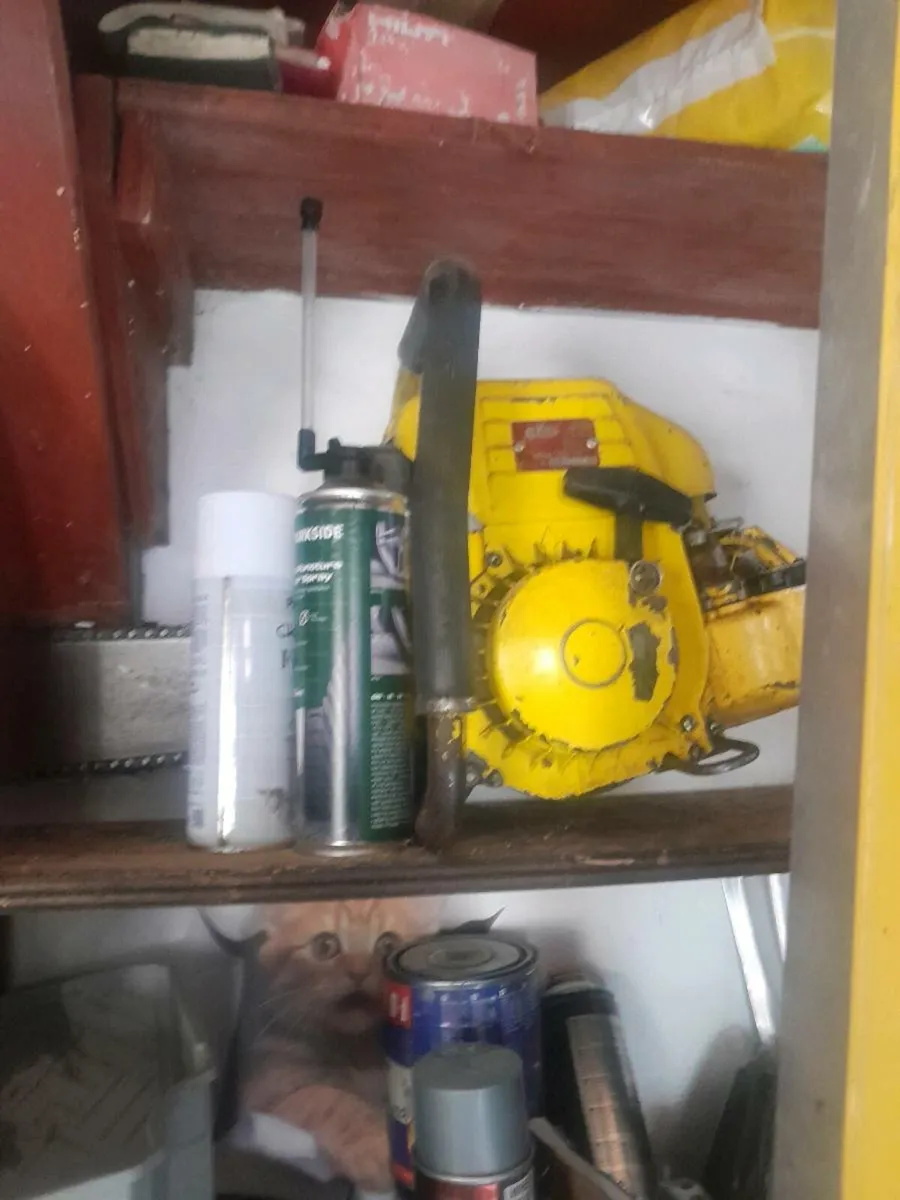 Danarm chainsaw - Image 1