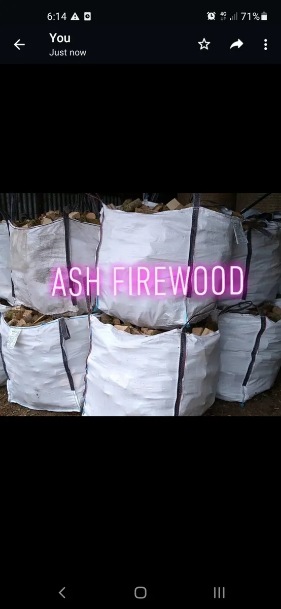 Firewood - Image 1