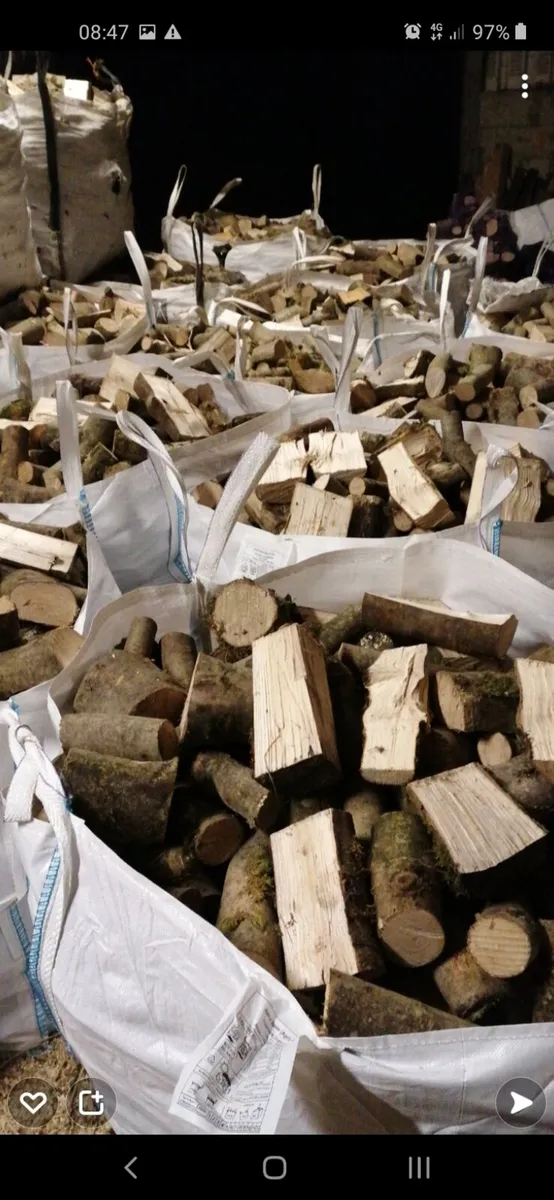 Firewood - Image 2