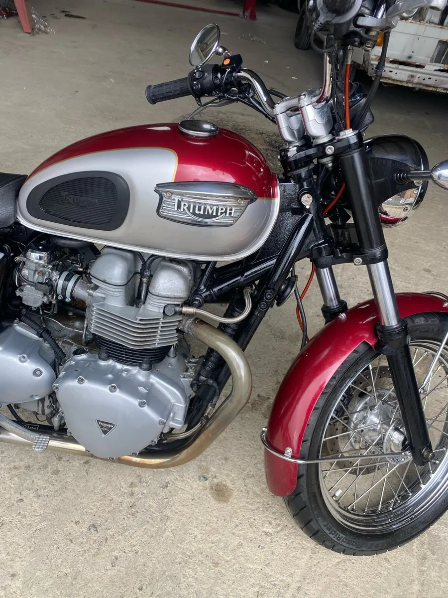 Triumph Bonneville - Image 2