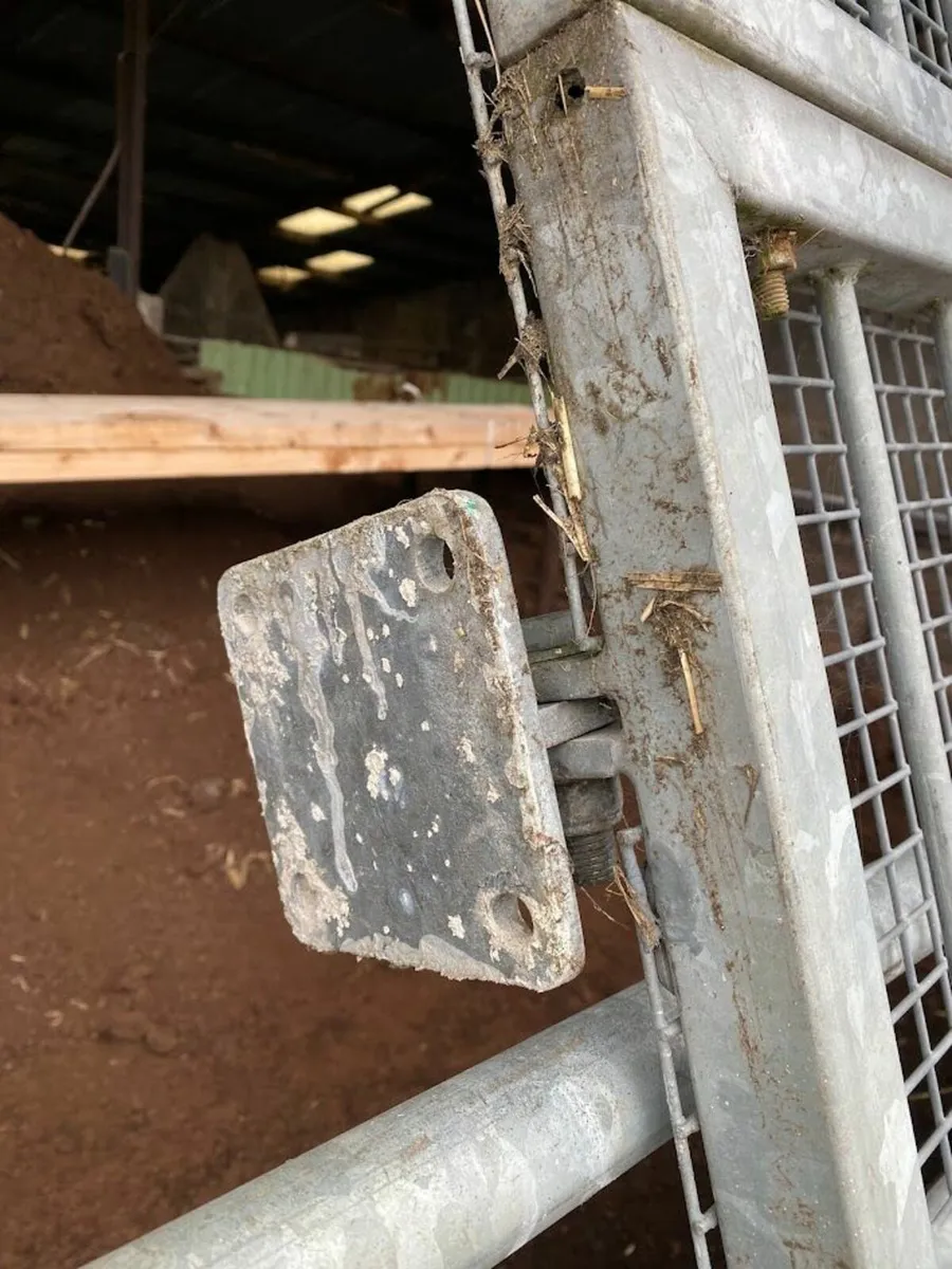Security Gates - Image 3