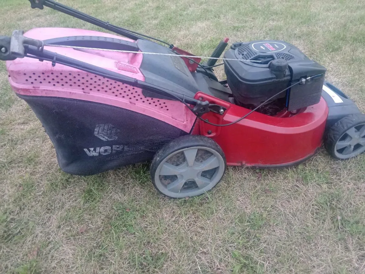 Lawnmowers - Image 4