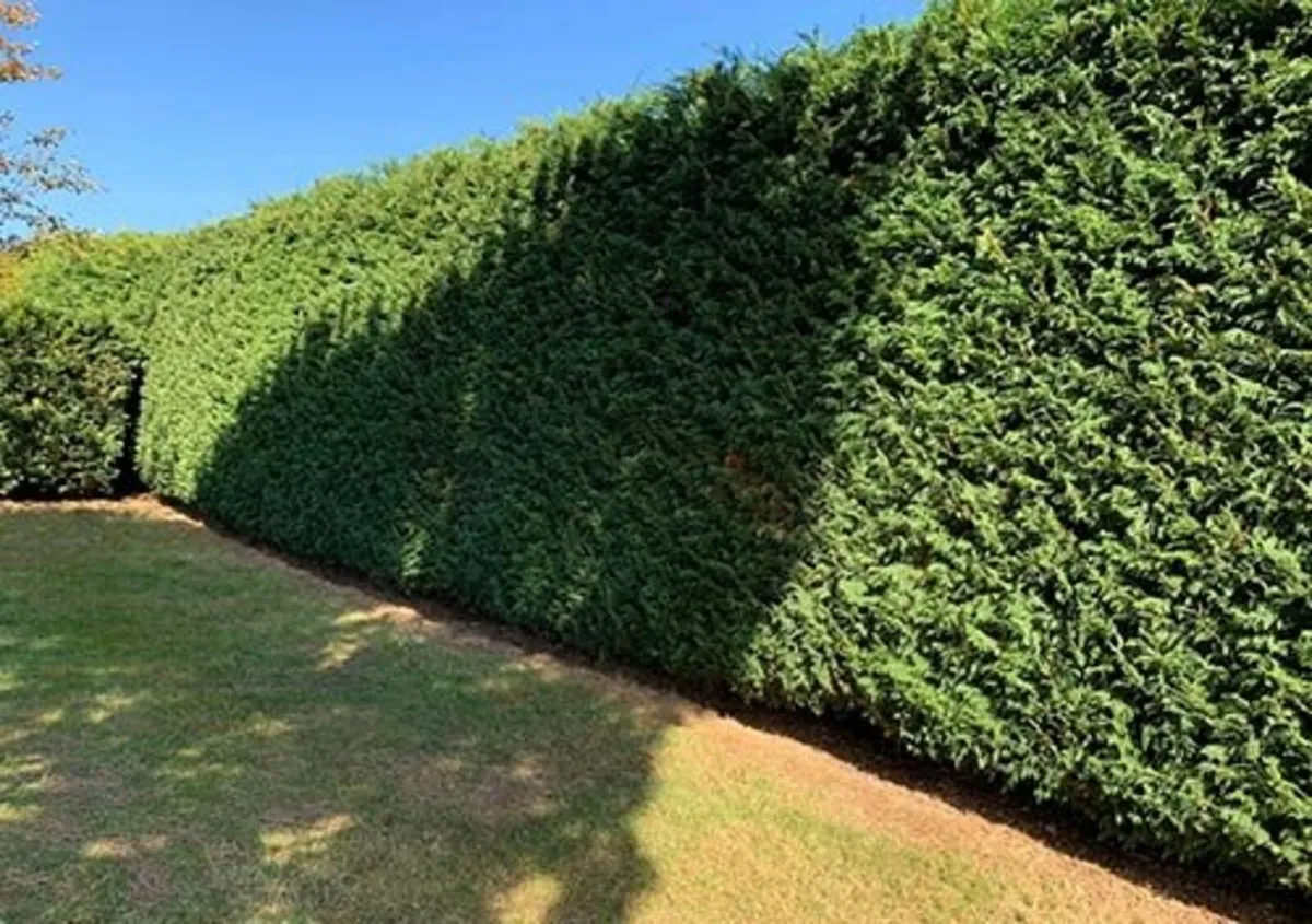 Gardening services available