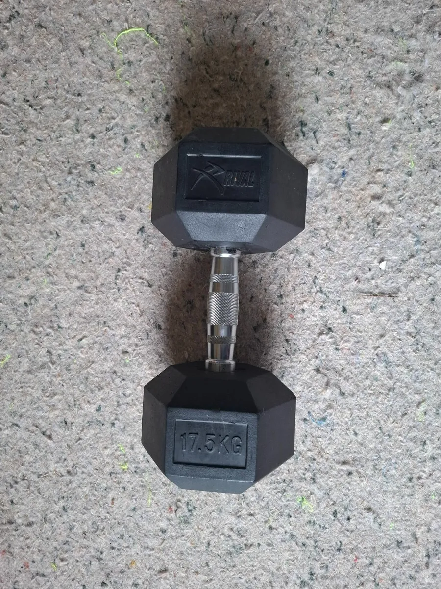 17.5kg dumbells - Image 1