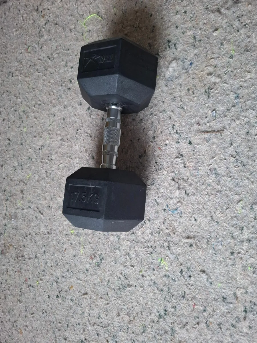 17.5kg dumbells - Image 2
