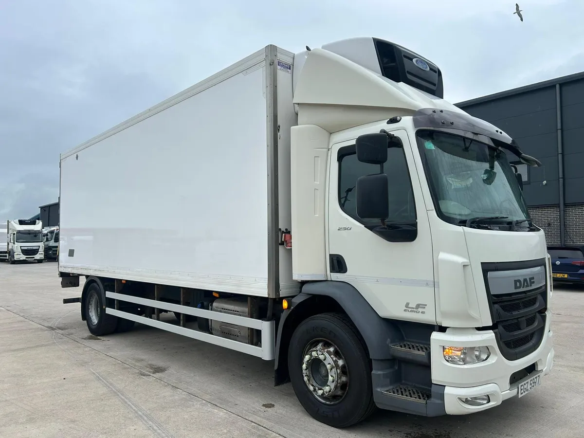 2017 DAF LF 250 18 Tonne Fridge - Image 1