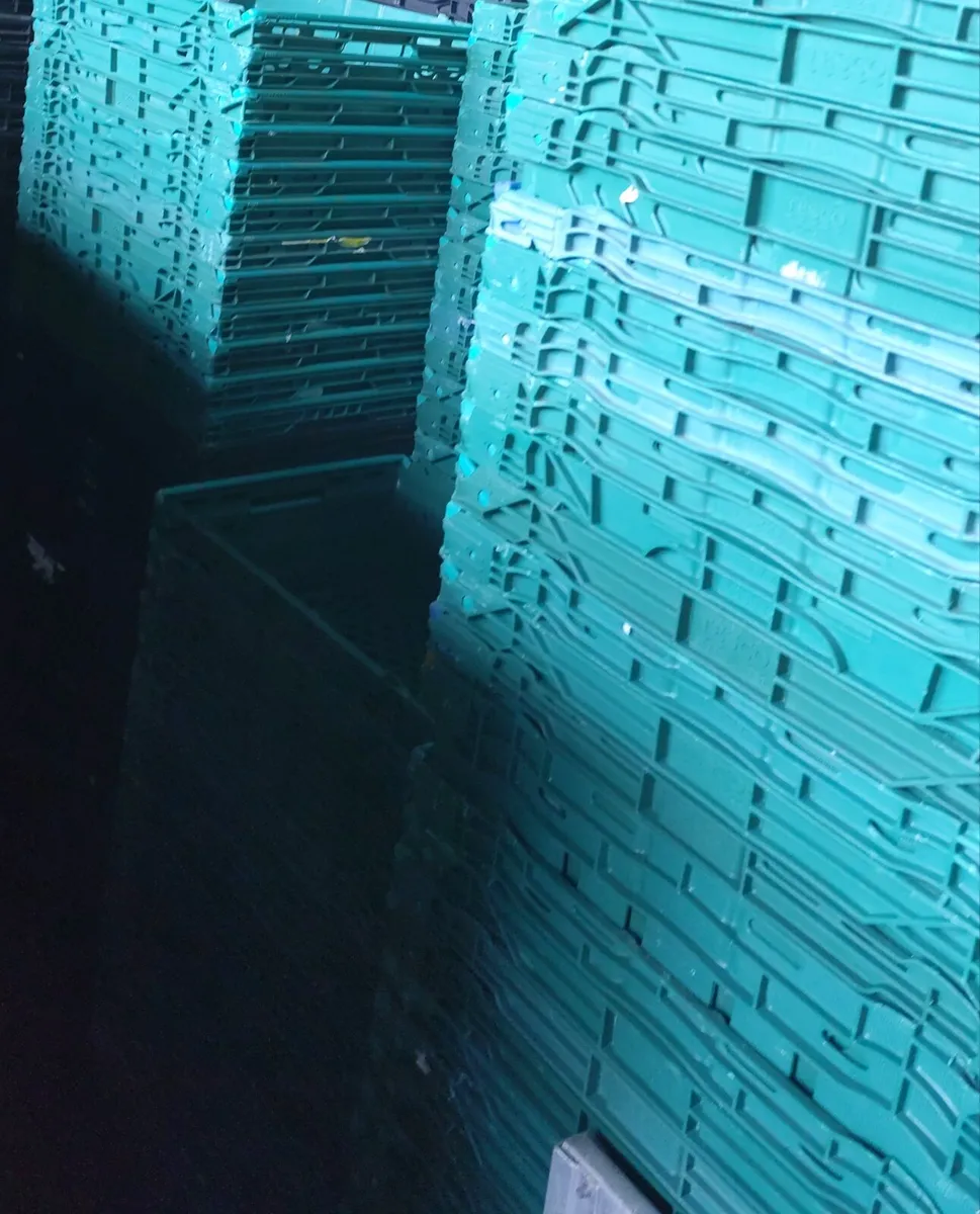 Plastic stacking crates - Image 1