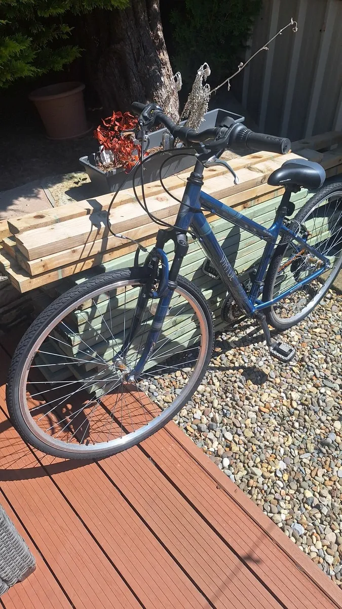 Bicycle - Image 2