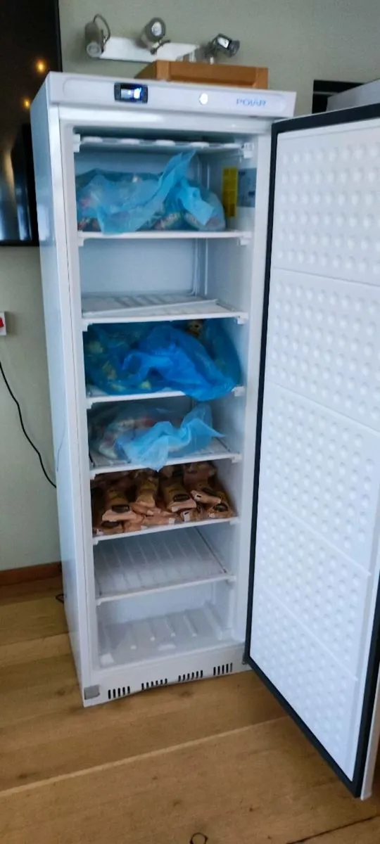 Polar C Series Upright Freezer. - Image 1