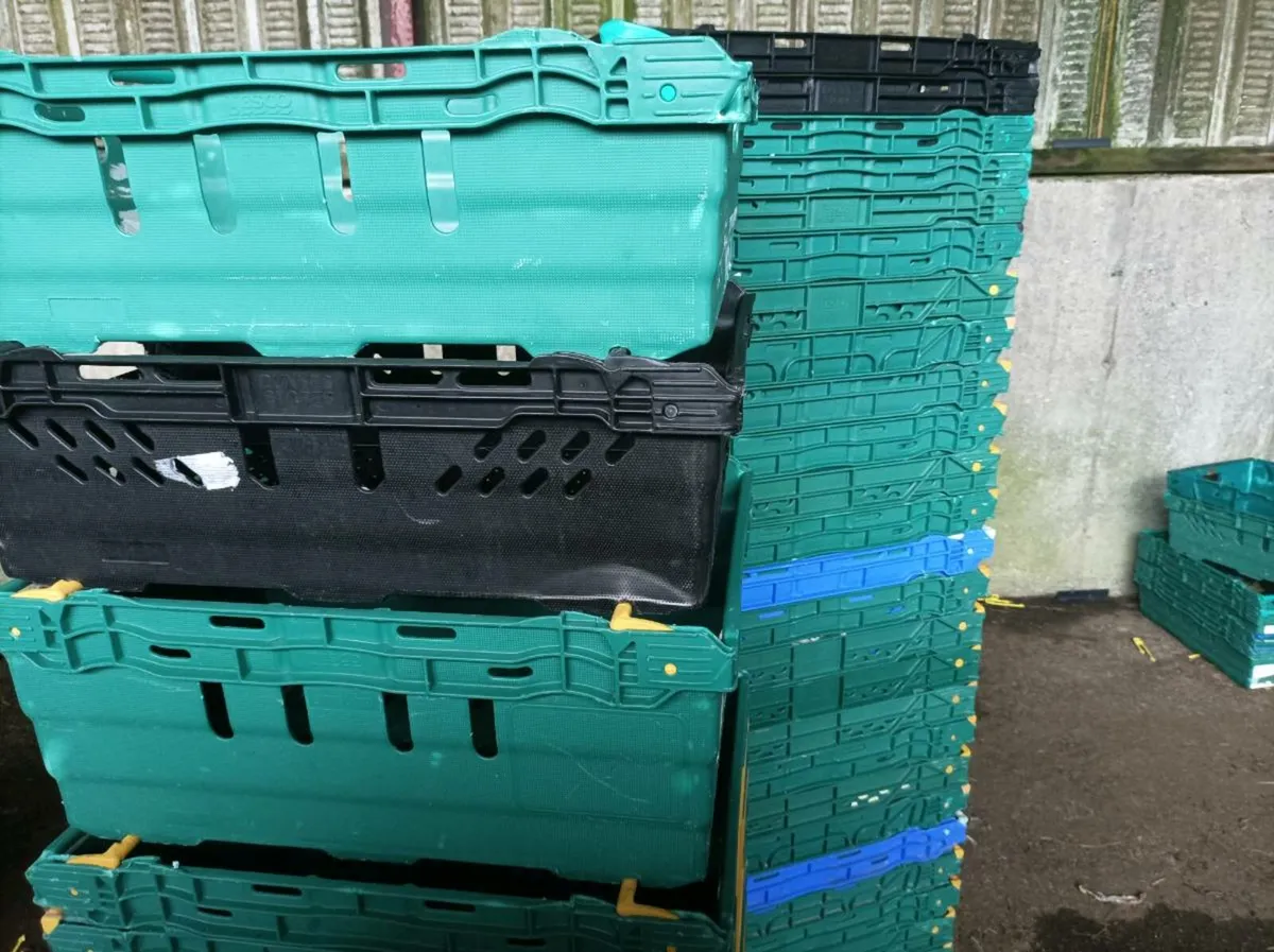 Storage boxes - Image 1
