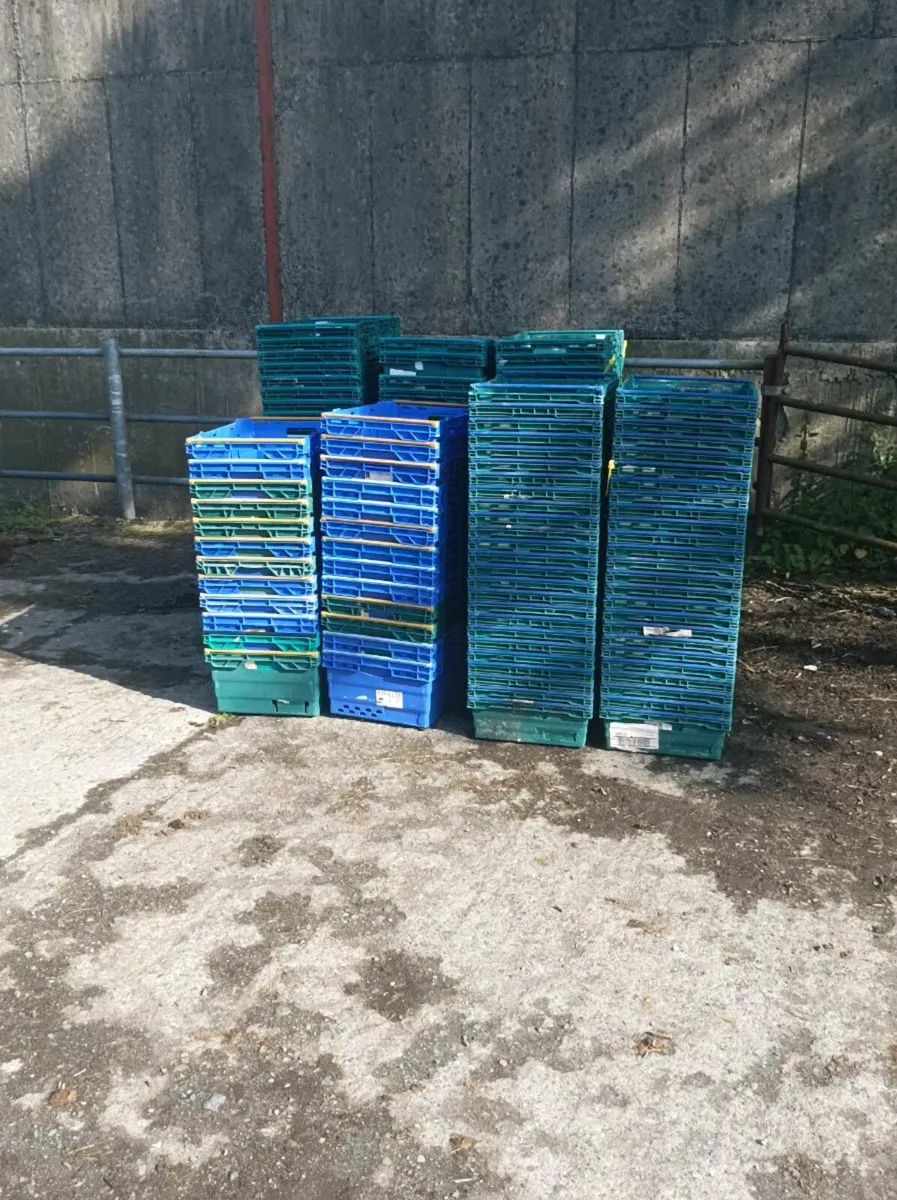 Storage boxes - Image 3