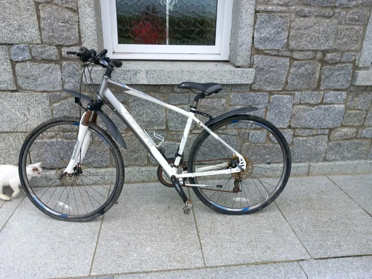 Carrera adult crossfire.3 bicycle - Image 4