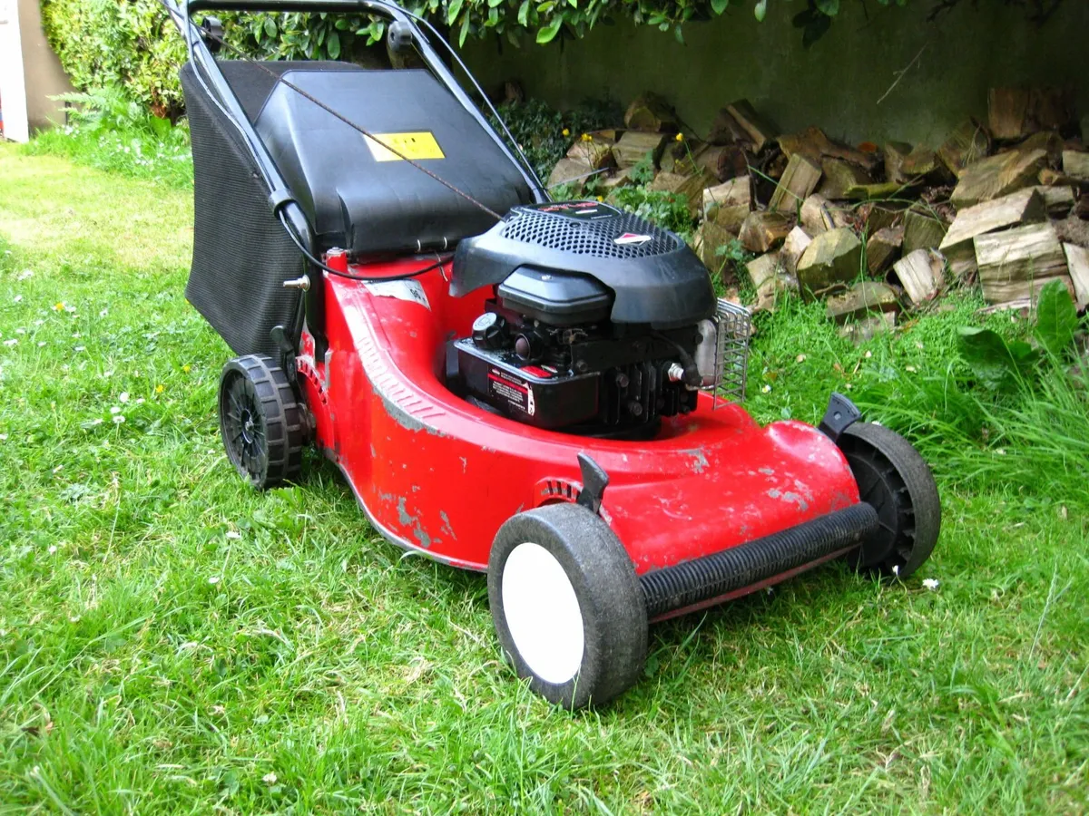 Sandri Garden Briggs&Stratton Petrol Mower - Italy - Image 3