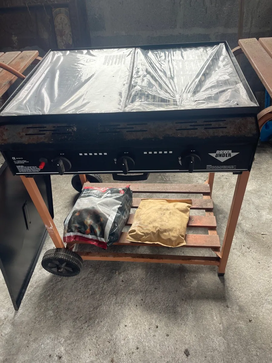 Bbq - Image 2