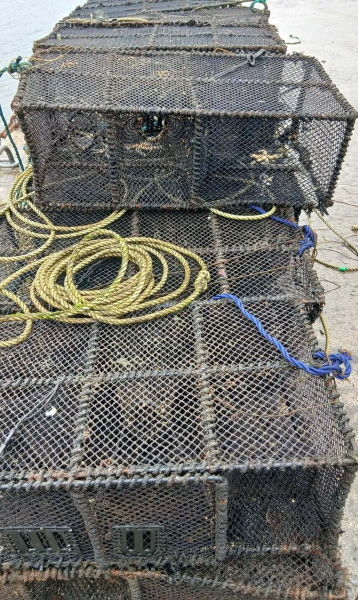 Square pots/creels (wrasse) - Image 2