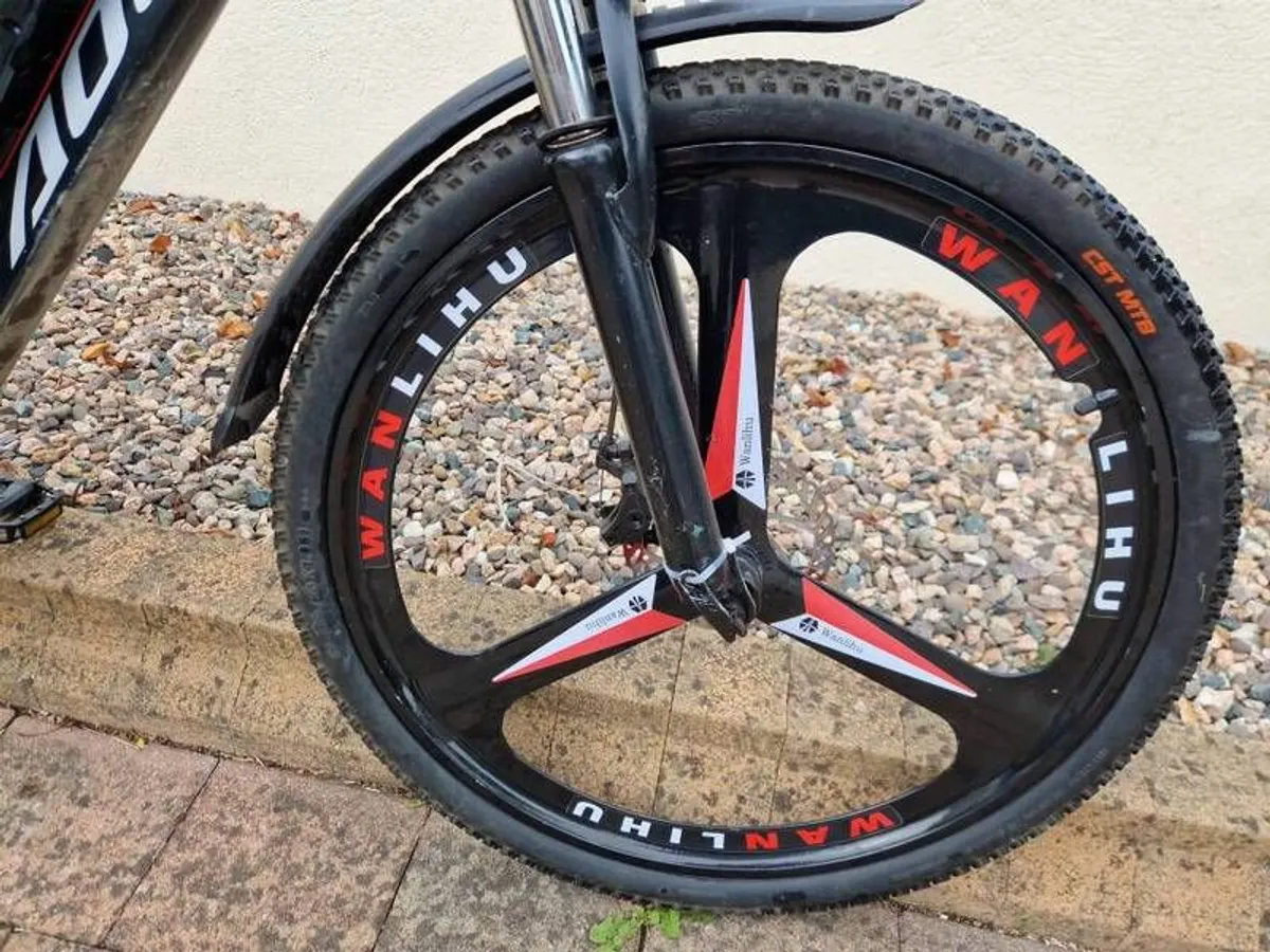 Electric Bike - Image 3