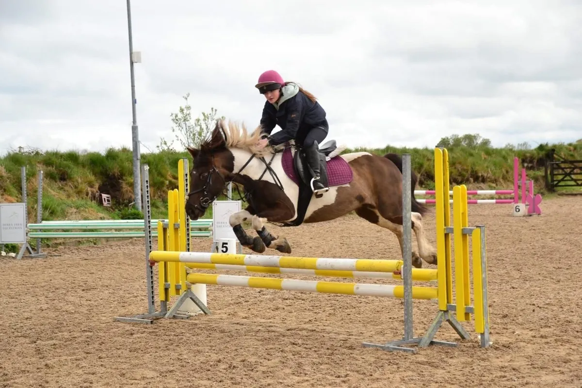 All rounder Mare pony - Image 3