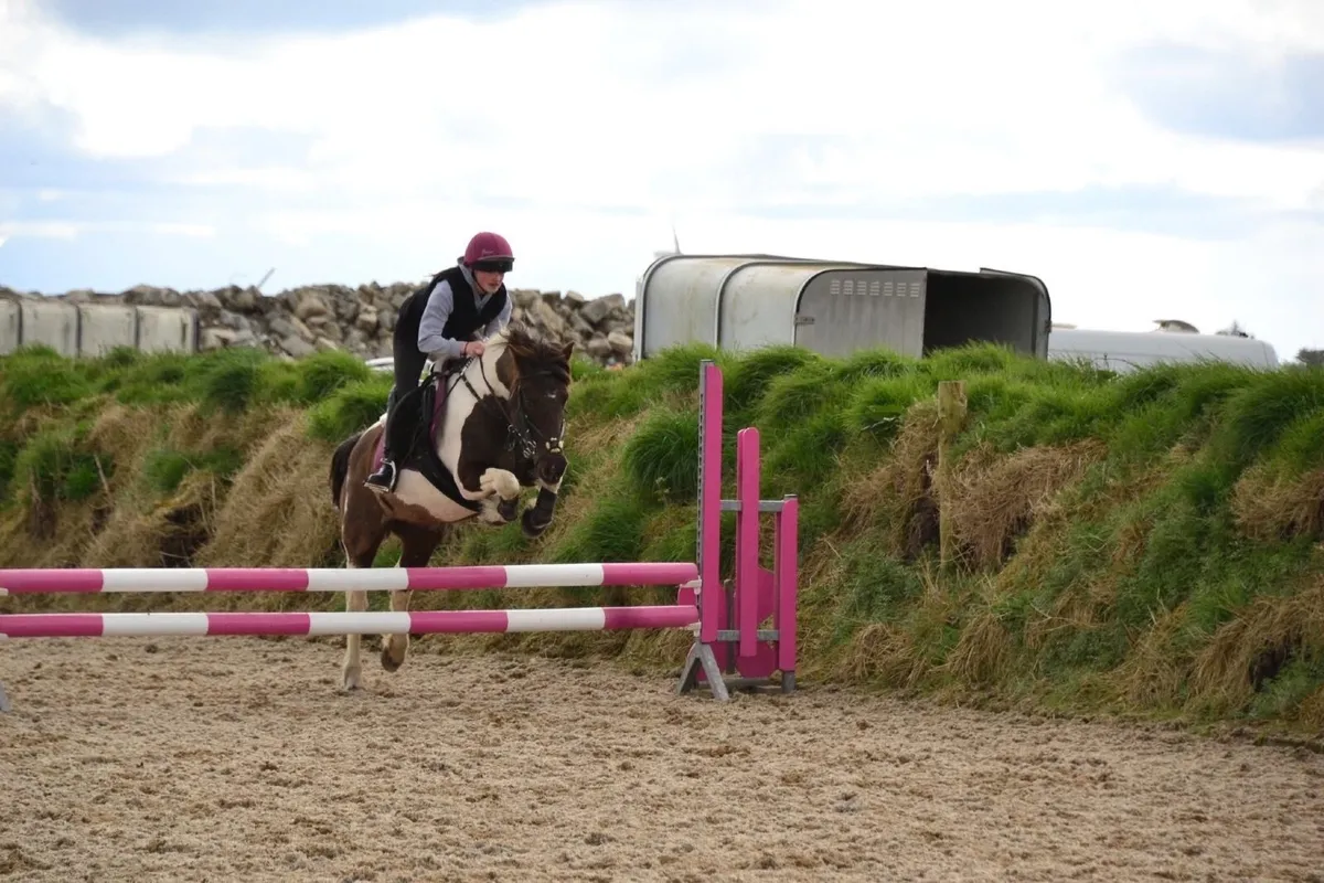 All rounder Mare pony - Image 4