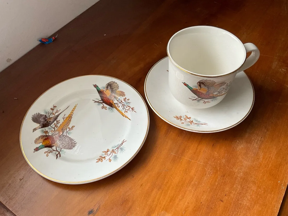Vintage Pheasant Tea Cup, Saucer and Plate - Image 1